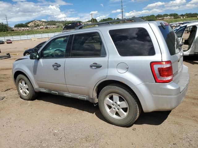 2011 Ford Escape XLT