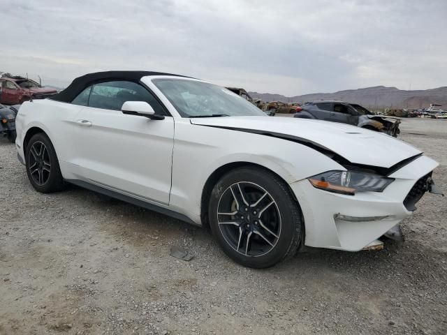 2019 Ford Mustang