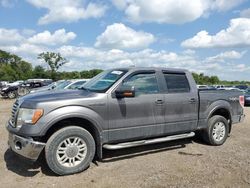 Ford salvage cars for sale: 2013 Ford F150 Supercrew