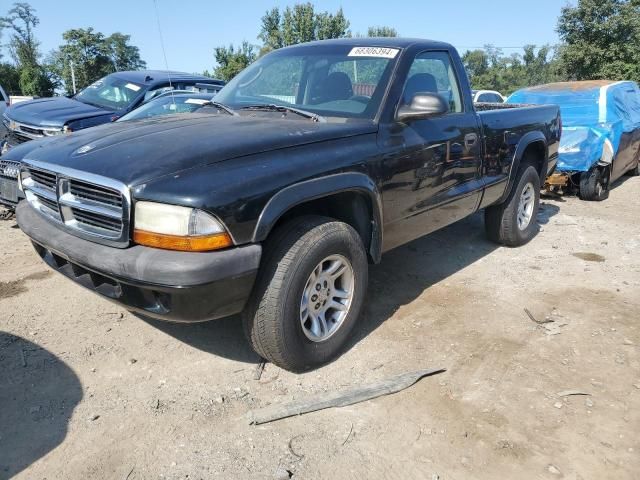 2004 Dodge Dakota SXT