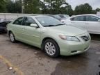 2009 Toyota Camry Hybrid