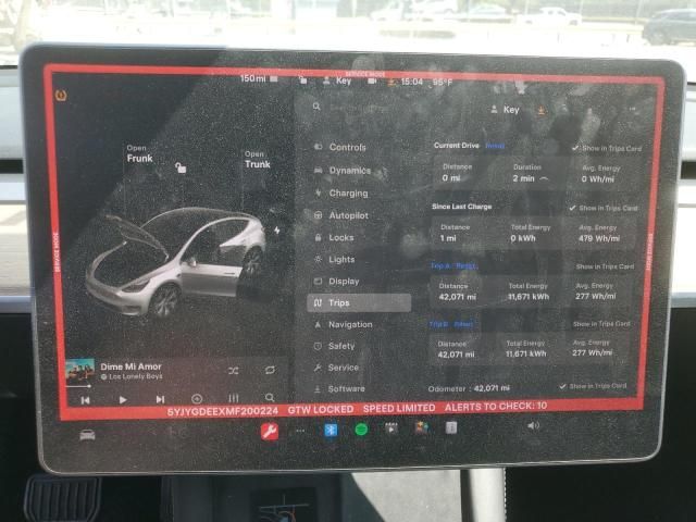 2021 Tesla Model Y