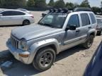 2004 Jeep Liberty Renegade