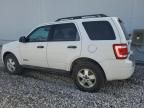 2008 Ford Escape XLT