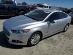 2014 Ford Fusion SE Phev