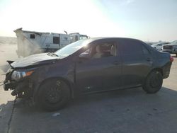 Salvage cars for sale at Grand Prairie, TX auction: 2011 Toyota Corolla Base