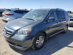 Salvage cars for sale at Sacramento, CA auction: 2005 Honda Odyssey EXL