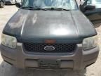 2002 Ford Escape XLT