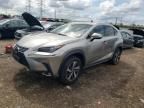 2019 Lexus NX 300 Base