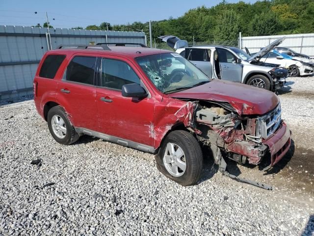 2010 Ford Escape XLT