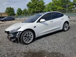 Salvage cars for sale at Baltimore, MD auction: 2021 Tesla Model 3