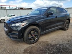 Salvage cars for sale at Kapolei, HI auction: 2017 Jaguar F-PACE Prestige