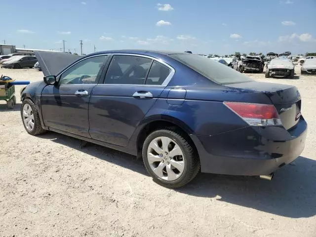 2009 Honda Accord EXL