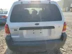 2007 Ford Escape XLT