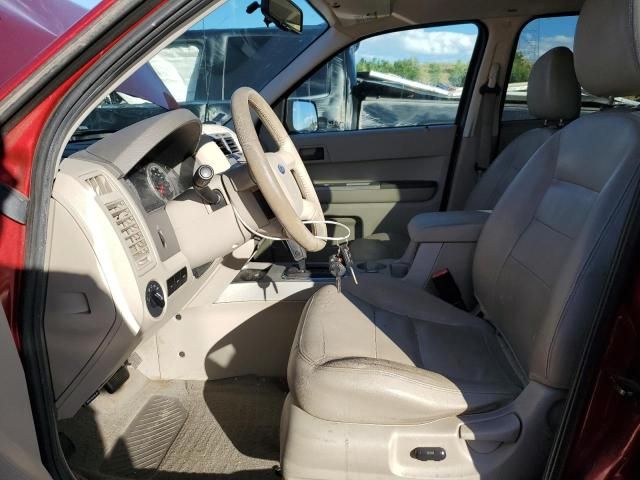 2008 Ford Escape XLT