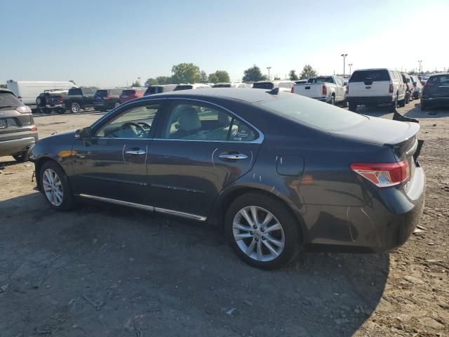 2010 Lexus ES 350