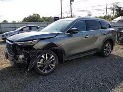 Salvage cars for sale at auction: 2024 Infiniti QX60 Luxe