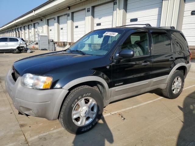 2001 Ford Escape XLT