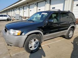 Salvage cars for sale at Louisville, KY auction: 2001 Ford Escape XLT