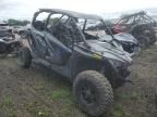 2023 Polaris RZR PRO XP 4 Ultimate