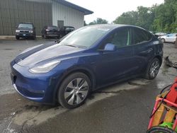 Salvage cars for sale at East Granby, CT auction: 2023 Tesla Model Y