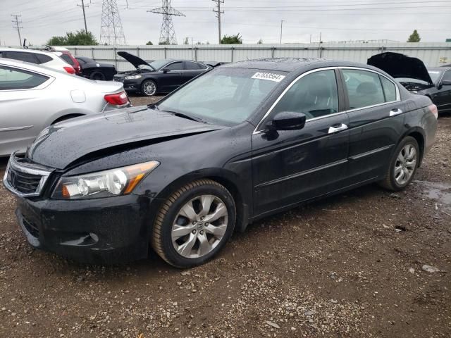 2010 Honda Accord EXL