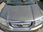 2010 Honda Pilot EXL