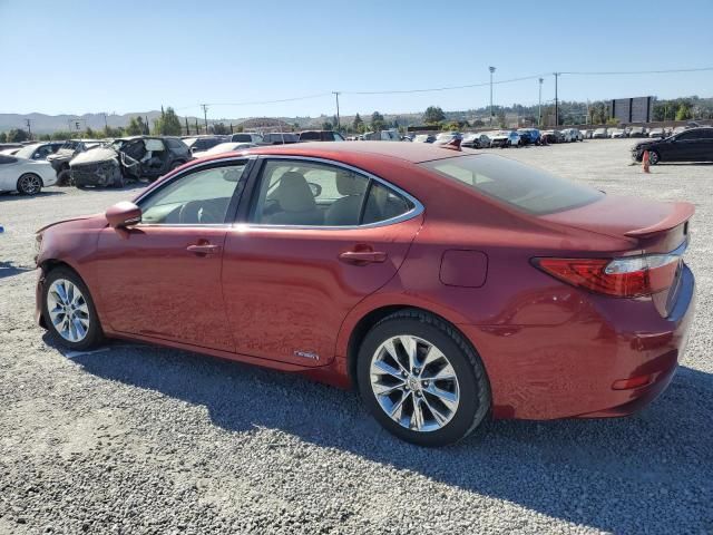 2014 Lexus ES 300H