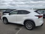 2020 Lexus NX 300