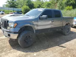 2011 Ford F150 Supercrew en venta en Davison, MI