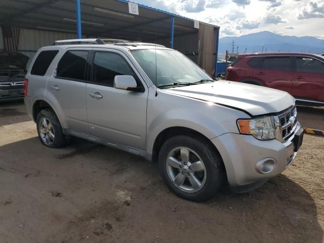 2009 Ford Escape Limited