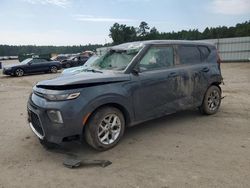 Salvage cars for sale at Harleyville, SC auction: 2022 KIA Soul LX