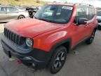 2019 Jeep Renegade Trailhawk