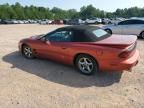 2002 Pontiac Firebird