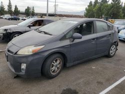 Toyota salvage cars for sale: 2010 Toyota Prius