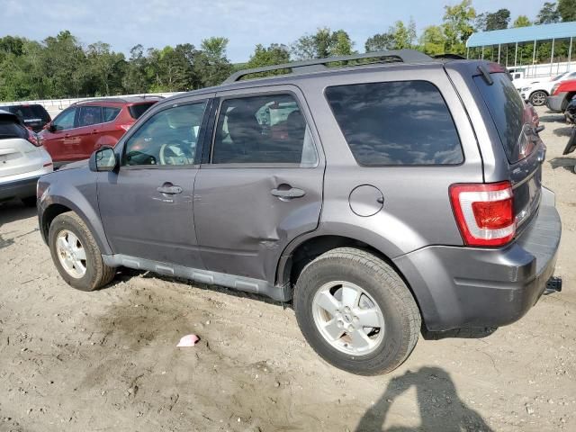 2011 Ford Escape XLT