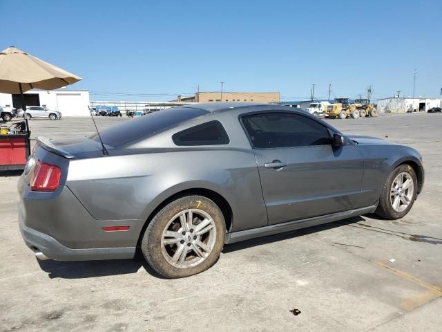 2010 Ford Mustang