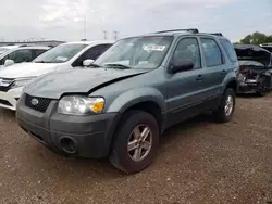 2007 Ford Escape XLS en venta en Elgin, IL