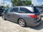 2019 Honda Odyssey EXL