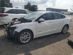 Salvage cars for sale at Moraine, OH auction: 2019 Ford Fusion SE