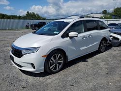 Honda Vehiculos salvage en venta: 2024 Honda Odyssey Touring