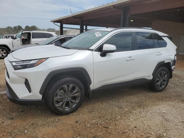 2024 Toyota Rav4 XLE Premium