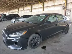 Salvage cars for sale at Phoenix, AZ auction: 2019 Hyundai Sonata SE