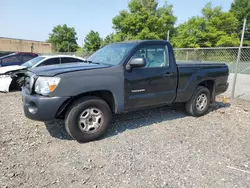 Salvage cars for sale at Baltimore, MD auction: 2009 Toyota Tacoma