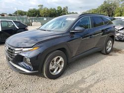 Salvage cars for sale at Riverview, FL auction: 2024 Hyundai Tucson SEL