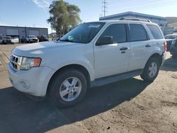 Salvage cars for sale at Anthony, TX auction: 2009 Ford Escape XLT