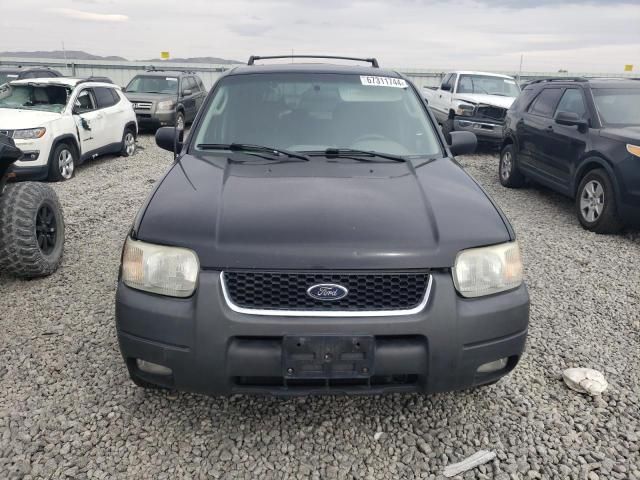 2003 Ford Escape XLT