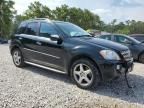 2009 Mercedes-Benz ML 550