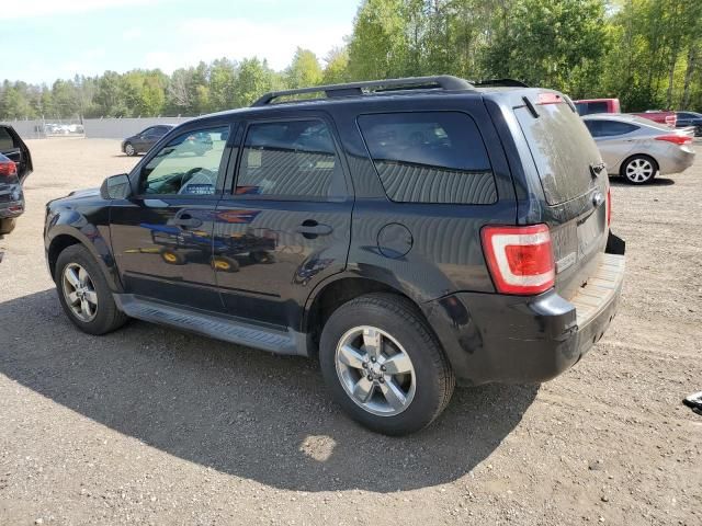 2009 Ford Escape XLT