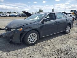 Salvage cars for sale at Eugene, OR auction: 2014 Toyota Camry L